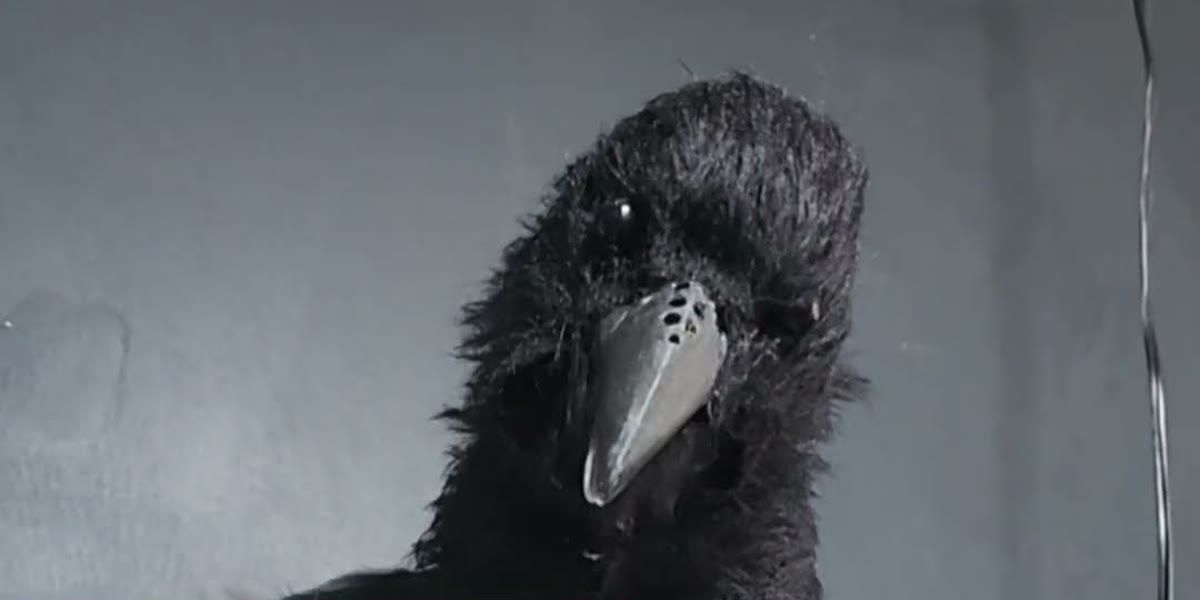 Professor Quill — an animatronic raven with an AIPI brain, in character with a memory. @TheMadBuilder